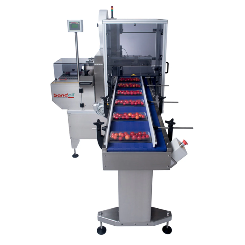 Bandall Fully Automatic TRC Series Banding Machine (2).webp