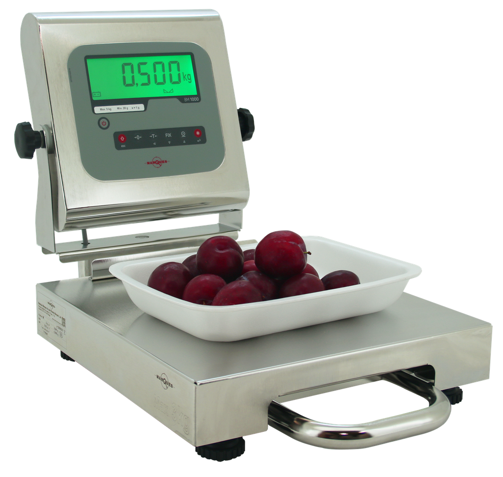 Marques Complete Scale Model MC 30 SS